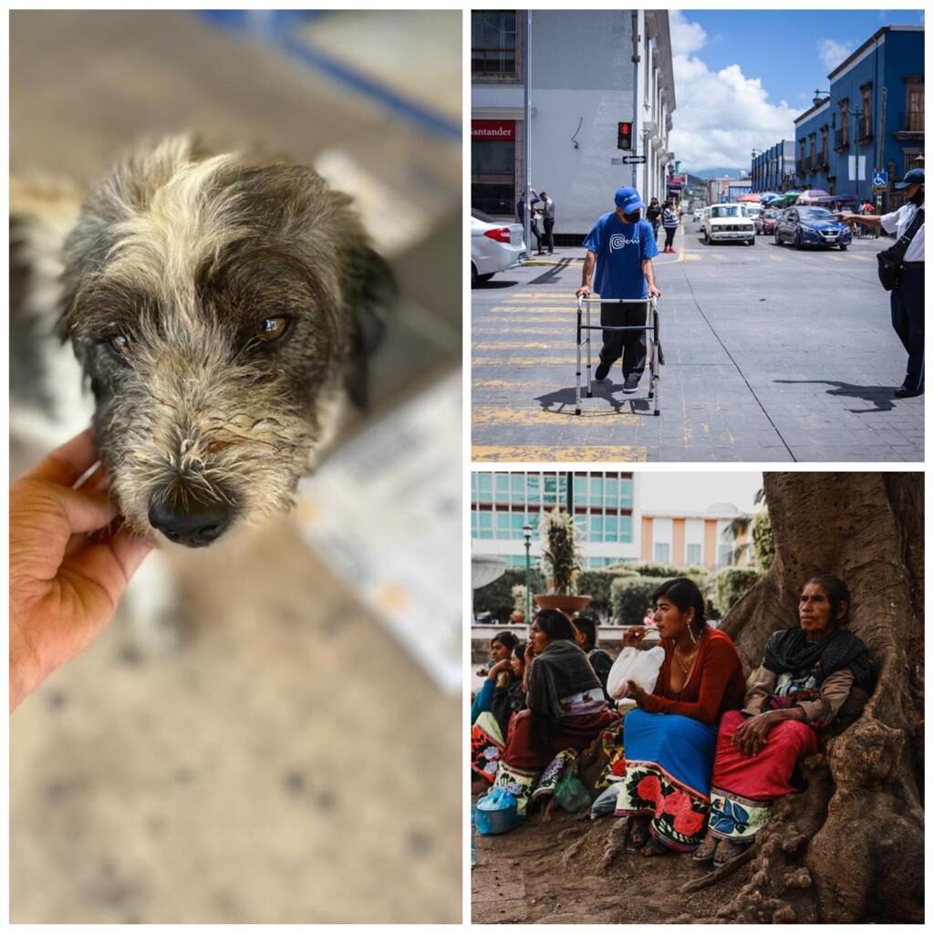 SE TRABAJARÁ EN LEYES EN FAVOR DE LA NIÑEZ, MUJERES Y PUEBLOS INDÍGENAS. DIPUTADOS
