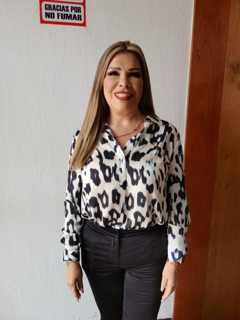 SEGÚN SECRETARIA GENERAL DE GOBIERNO, HAN DISMINUIDO VIOLENCIA FAMILIAR