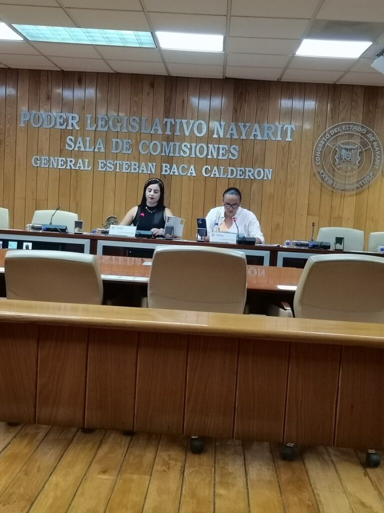 DIPUTADOS AHORA APRUEBAN ACUERDO PARA CONSULTA A PERSONAS CON DISCAPACIDAD PARA ESCUCHAR SUS NECESIDADES