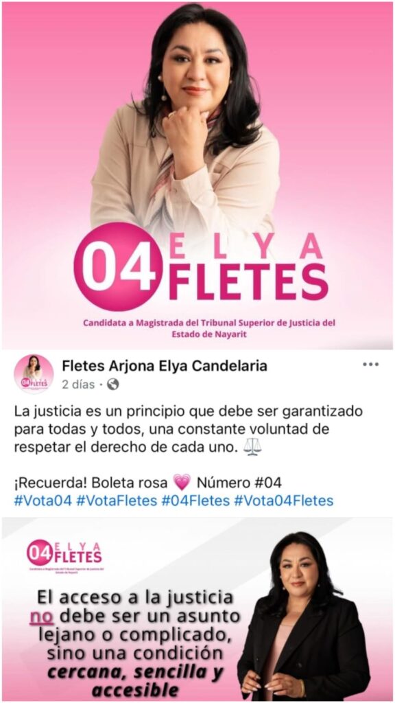 JUSTICIA SENCILLA Y ACCESIBLE. ELYA FLETES