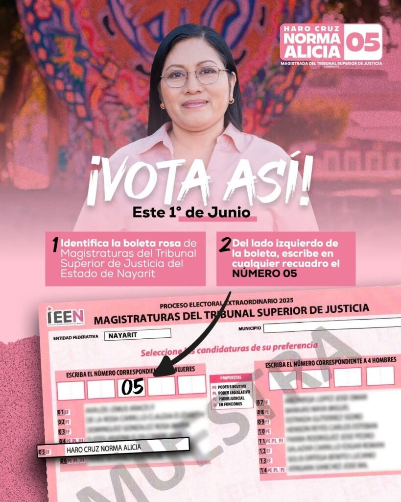 CANDIDATOS A MAGISTRADOS DEL TRIBUNAL SUPERIOR DE JUSTICIA, ILUSTRAN CÓMO VOTAR